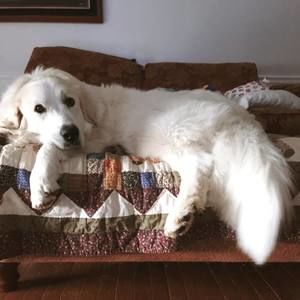 Meet your Posher, Nichole